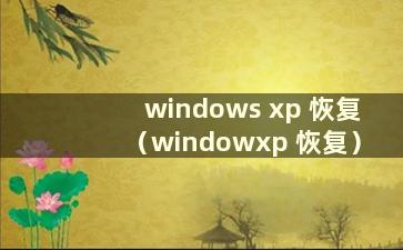 windows xp 恢复（windowxp 恢复）